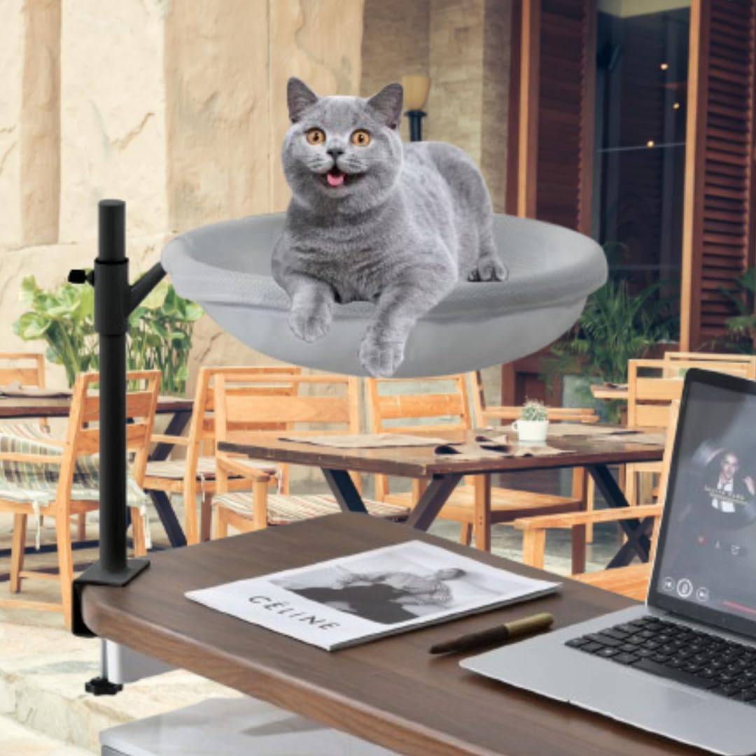 best cat desk bed